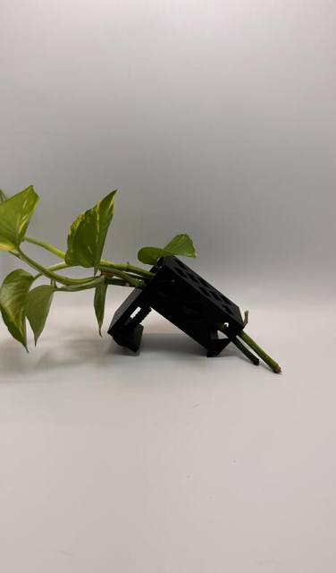Pothos plant in a printed aquarium holder